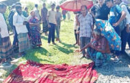 পাঁচবিবিতে চায়না দুয়ারী জাল জব্দ