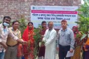 গোবিন্দগঞ্জে ৭৫০ পরিবারের মাঝে বিভিন্ন প্রজাতির গাছের চারা বিতরণ