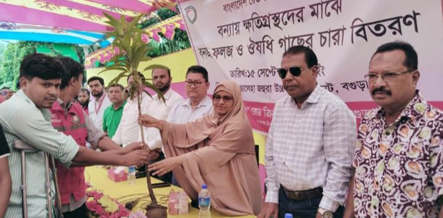 ধুনটে বন্যায় ক্ষতিগ্রস্ত ১০০ পরিবারের মাঝে রেড ক্রিসেন্টের ৬০০ গাছের চারা বিতরণ