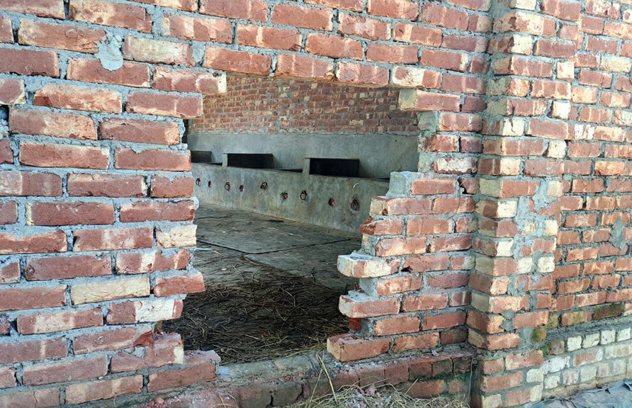 গোবিন্দগঞ্জে খামার ঘরের ইটের দেয়াল কেটে ৭টি গরু করেছে দুর্বৃত্তরা