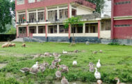 পাঁচবিবিতে অরক্ষিত শিক্ষা প্রতিষ্ঠান