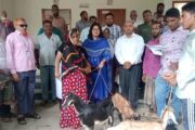 দিনাজপুরে প্রতিবন্ধী পরিবারের মাঝে ছাগল বিতরণ