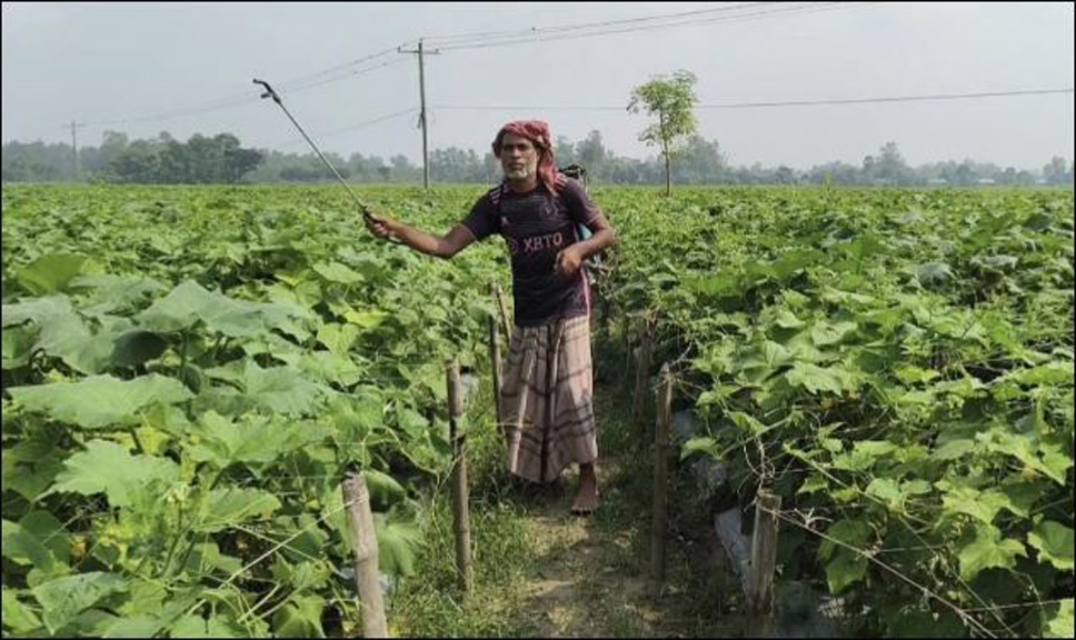 আগাম শীতকালীন সবজি চাষে ব‍্যস্ত কৃষকরা