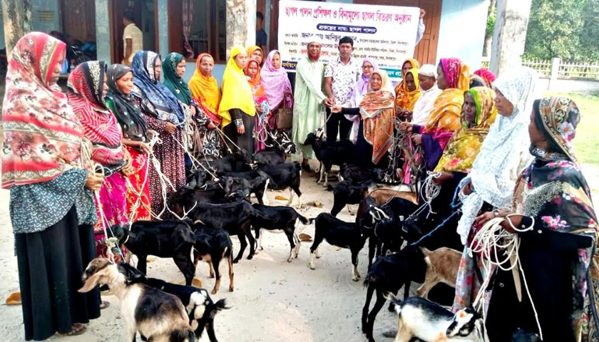 দিনাজপুরে জিইউপি’র ২০ জন হতদরিদ্র নারীদের মাঝে বিনামূল্যে ছাগল বিতরণ