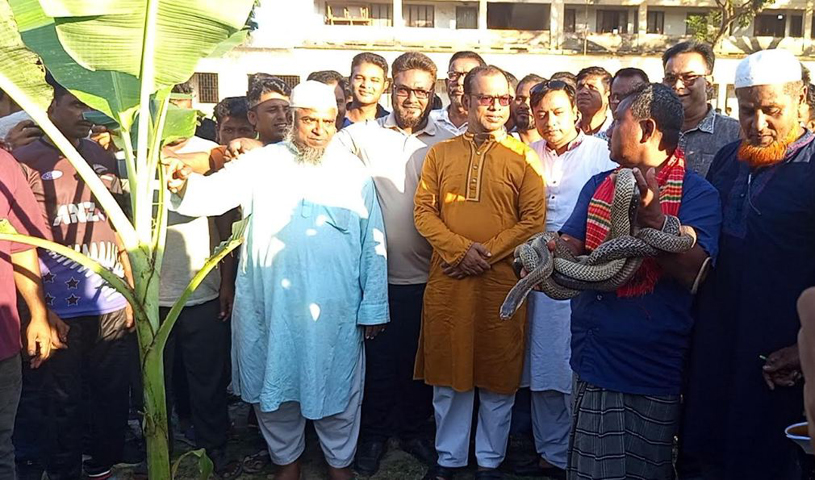 বিরলের ধামইর ইউনিয়ন যুব সমাজের উদ্যোগে গ্রাম বাংলার ঐতিহ্যবাহী সাপ খেলা ও পাতা খেলা অনুষ্ঠিত