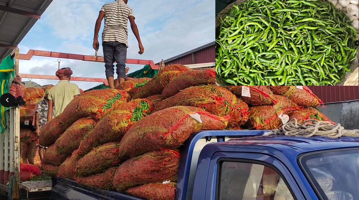 হিলিতে কাঁচা মরিচের কেজি ২৮০ টাকা, আমদানি শুরু হলে কমতে পারে দাম