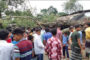 চিরিরবন্দরে চড়কডাঙ্গা বাজারে বটগাছ উপড়ে দোকান ভাঙ্গাসহ ৩ জন পথচারী আহত