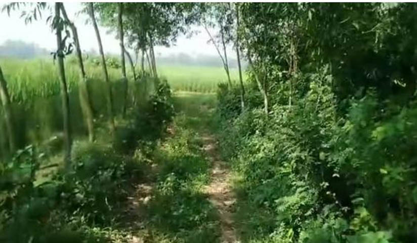 রংপুরে বদরগঞ্জে শত বছরের রেকর্ডীয় রাস্তা সংস্কারের অভাবে চলাচলে অযোগ্য, উদ্ধারের দাবি এলাকাবাসীর