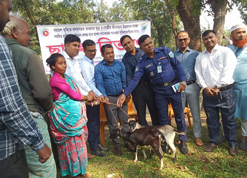 ফুলবাড়ীতে ১৯৬ জন ক্ষুদ্র নৃ-গোষ্ঠীর মাঝে বিনামূল্যে দুইটি করে ছাগল বিতরণ