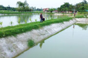 পাঁচবিবিতে মৎস্য খামার পরিদর্শনে জেলা মৎস্য কর্মকর্তা 