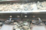 বগুড়ায় ১০০ বাড়িতে যৌথ বাহিনীর অভিযান বিপুল মাদক জব্দ: আটক তিন