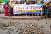 বিরামপুরে সড়কে আলু ফেলে কৃষকদের মানববন্ধন