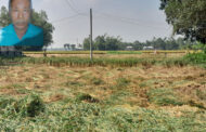 হঠাৎ করে জমি দখল শোকে মারা গেলেন মালিকের স্বামী