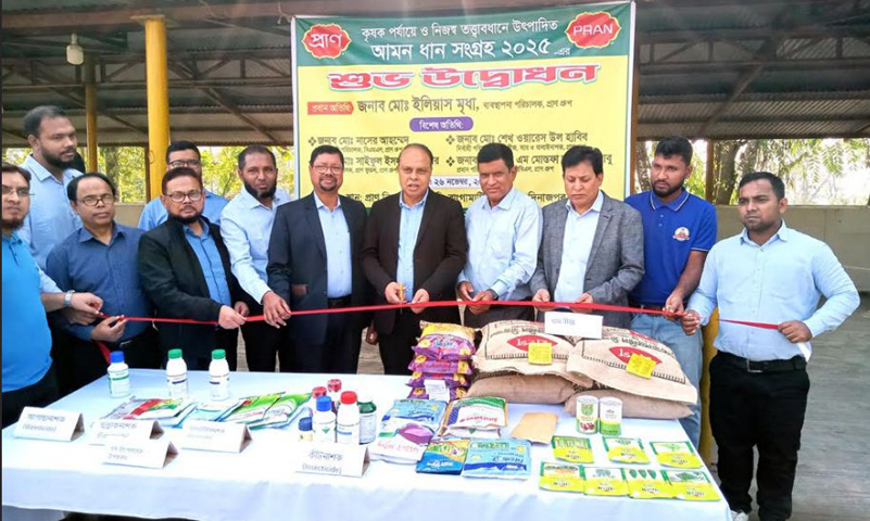 ফুলবাড়ীতে কৃষক পর্যায়ে প্রাণের আমন ধান সংগ্রহ অভিযানের উদ্বোধন