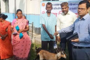 পাঁচবিবির আদিবাসীরা পেল উন্নত জাতের ছাগল 