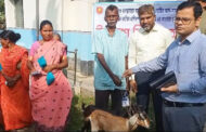 পাঁচবিবির আদিবাসীরা পেল উন্নত জাতের ছাগল 