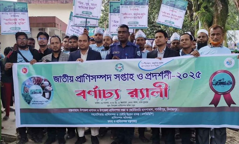 পার্বতীপুরে জাতীয় প্রাণিসম্পদ সপ্তাহ ও প্রাণিসম্পদ প্রদর্শনী শুরু