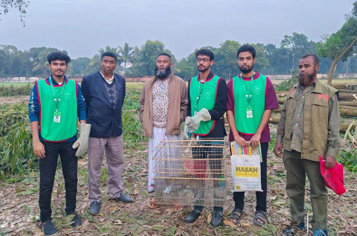 বগুড়ায় তীরের সহায়তায় প্রকৃতিতে ফিরে গেল বিলুপ্তপ্রায় গন্ধগোকুল