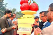 দিনাজপুর জেলাবাসীর দীর্ঘদিনের অপেক্ষার পর উদ্বোধন করা হলো “লিচু চত্বর”