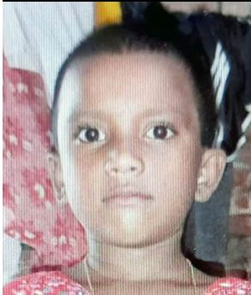 ধুনটে অটোরিকশার ধাক্কায় ৭ বছরের শিশুর মর্মান্তিক মৃত্যু