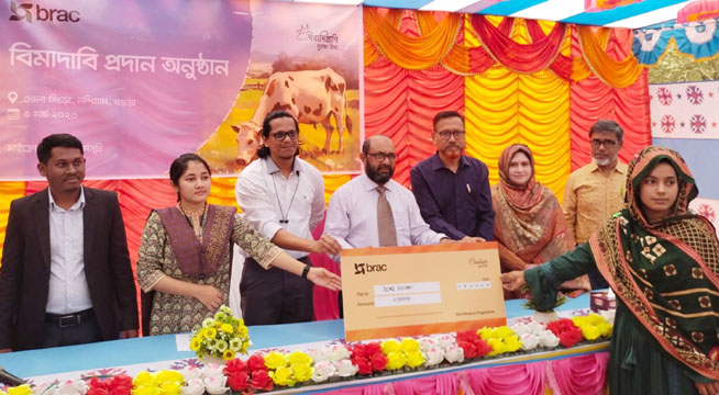 বগুড়ায় গবাদি প্রাণির বীমা করে ক্ষতিপূরণ পেলেন উম্মে সালমা