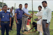 হিলিতে সজিনা চারা ও কাটিং রোপণ কার্যক্রমের উদ্বোধন