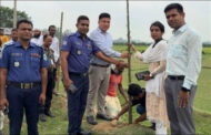 হিলিতে সজিনা চারা ও কাটিং রোপণ কার্যক্রমের উদ্বোধন