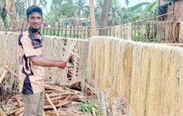 পাঁচবিবিতে কলাগাছ থেকে সুতা উৎপাদন