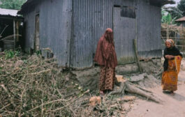 পৈতৃক জমির বিরোধে ধুনটে শিক্ষকের বাড়ির গাছ কেটে নেওয়া, মা ও স্ত্রীকে নির্যাতনের অভিযোগ