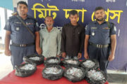 হিলিতে ২ হাজার পিস অ্যাম্পলসহ ২ জন গ্রেপ্তার