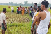 আক্কেলপুরে অজ্ঞাত ব্যক্তির মরদেহ উদ্ধার
