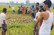 আক্কেলপুরে অজ্ঞাত ব্যক্তির মরদেহ উদ্ধার