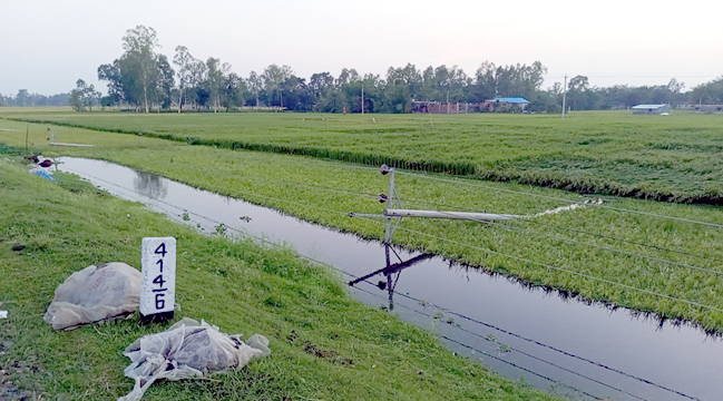 বিরলে হঠাৎ ঘুর্নিঝড়ে ব্যাপক ক্ষয়ক্ষতি