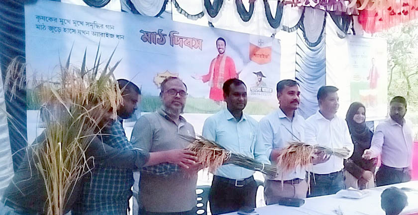 বিরামপুরে বায়ার অ্যারাইজ ৬৫৮৫ হাইব্রিড ধান বিষয়ক কৃষক সমাবেশ অনুষ্ঠিত : অধিক ফলন সম্ভব