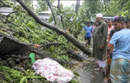 বগুড়ার ঝড়ের মধ্য আম কুড়াতে  গিয়ে গাছ ভেঙে নারীর মৃত্যু