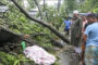 নিরাপদ উচ্চমূল্যের সবজি আবাদে লাভবান দিনাজপুরে কৃষক