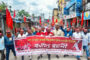 ধুনটে ক্ষুধার্ত শিয়ালের কামড়ে নারী-শিশুসহ ৫ জন আহত, জনমনে আতঙ্ক