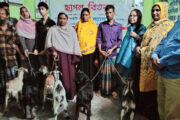 বিরলে সোসাইটি ফর উদ্যোগ এর আয়োজনে ছাগল বিতরণ