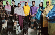 বিরলে সোসাইটি ফর উদ্যোগ এর আয়োজনে ছাগল বিতরণ
