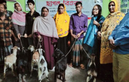 বিরলে সোসাইটি ফর উদ্যোগ এর আয়োজনে ছাগল বিতরণ