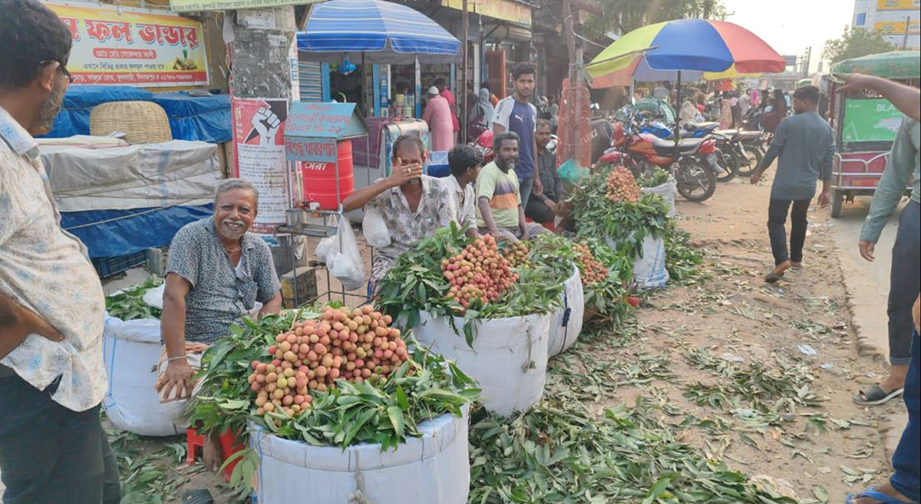 ফুলবাড়ীতে জমে ওঠেছে লিচুর বাজার, দাম চড়া
