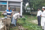 ঘোড়াঘাটে ২২০টি ইউক্যালিপটাস গাছের চারা ধ্বংস