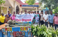 জাতীয় বৃক্ষরোপণ কর্মসূচির উদ্বোধন করলেন মথুরাপুর ইউনিয়ন পরিষদের ভারপ্রাপ্ত চেয়ারম্যান আব্দুল কাদের