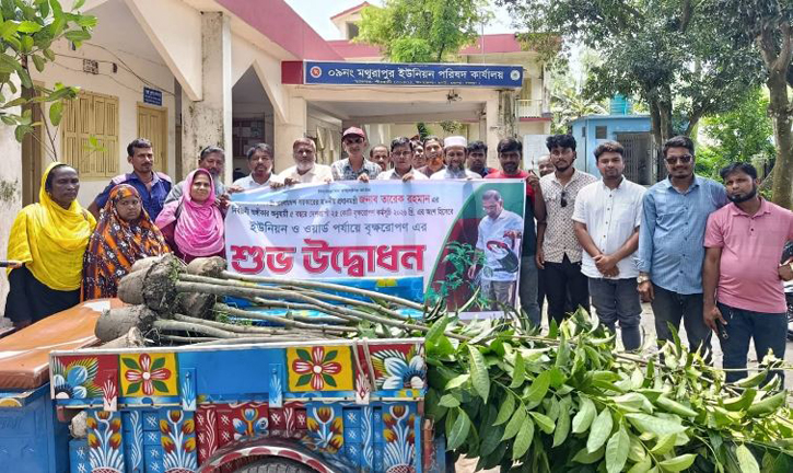 জাতীয় বৃক্ষরোপণ কর্মসূচির উদ্বোধন করলেন মথুরাপুর ইউনিয়ন পরিষদের ভারপ্রাপ্ত চেয়ারম্যান আব্দুল কাদের