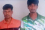 ইউরোপ–জয়েও বাংলাদেশ দলের তিনটি ‘অসুখ’ ধরলেন ডুলি