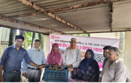 পঞ্চগড়ে ৩০৩ হতদরিদ্র নারী ও কিশোরির মাঝে হাঁস-মুরগির বাচ্চা ও মাছের পোনা বিতরণ