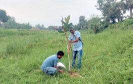 বটতলীতে ঐতিহ্য ও পরিবেশ রক্ষায় বটবৃক্ষ রোপণ