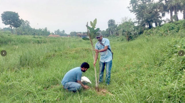বটতলীতে ঐতিহ্য ও পরিবেশ রক্ষায় বটবৃক্ষ রোপণ