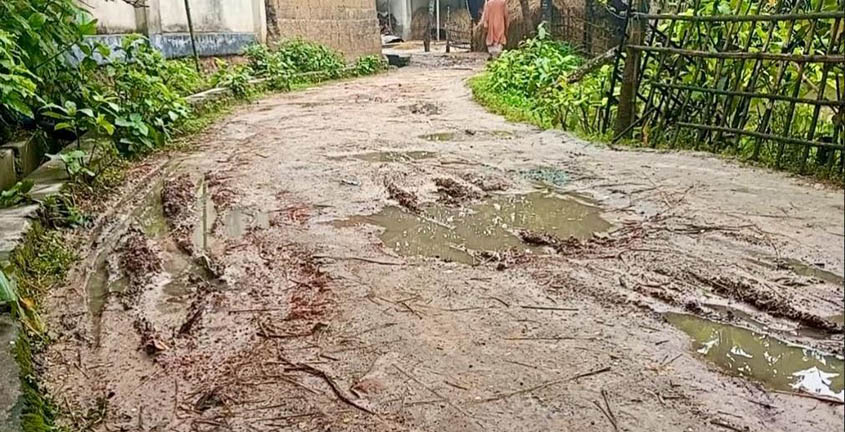 সামান্য বৃষ্টিতেই দুই গ্রামের শত শত মানুষের দুর্ভোগ, দ্রুত সংস্কারের দাবি