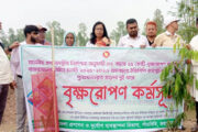 পাঁচবিবিতে খালের পাড়ে বৃক্ষ রোপণ